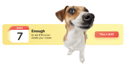PawChamp logo