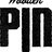 The Wooden Pin logo